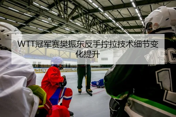 WTT冠军赛樊振东反手拧拉技术细节变化提升
